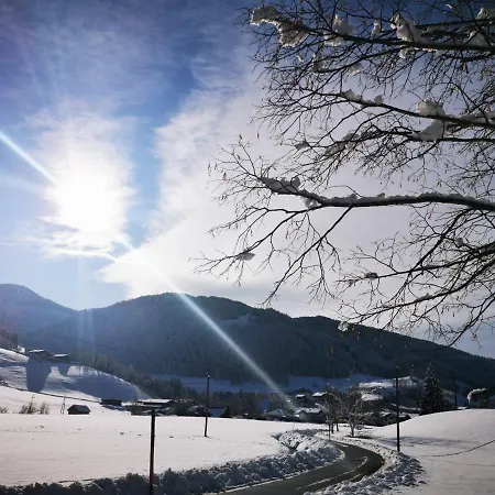 Apartment Elisabeth Forstau (Salzburg)