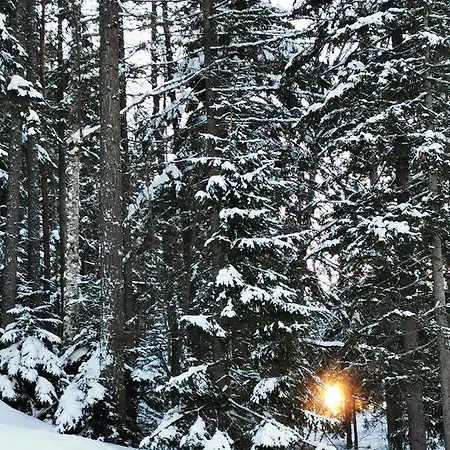 Elisabeth 아파트 포르슈타우