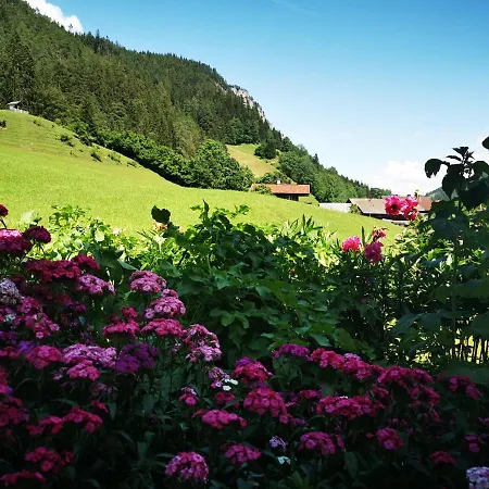 Elisabeth アパート *