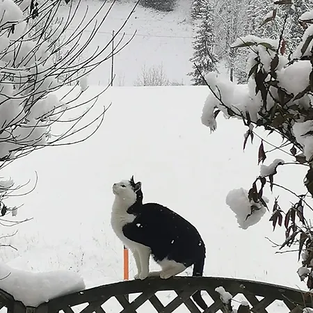 Apartment Elisabeth *