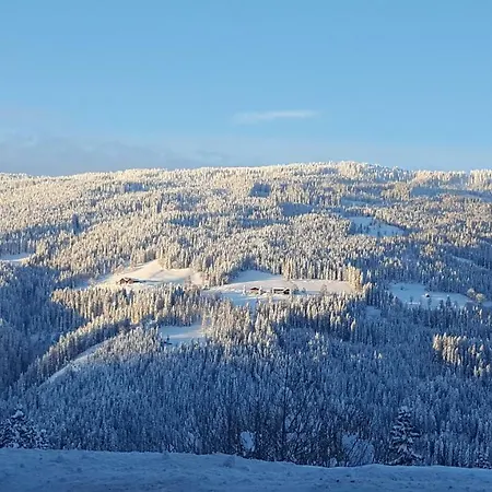 Apartment Elisabeth *