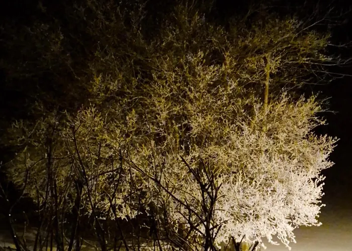 Διαμέρισμα Elisabeth